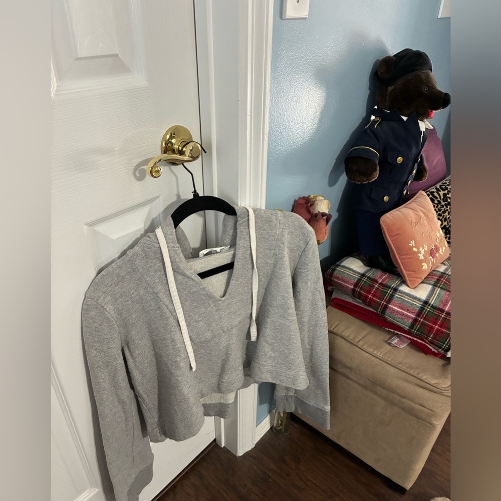 A.L.C. Light Gray Cropped Hoodie